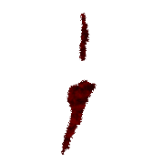 243