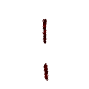 244
