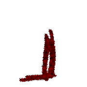 255