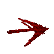 262