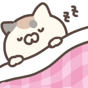 019