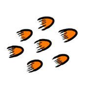 030