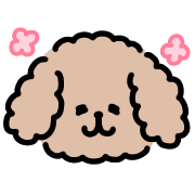 006