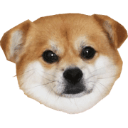003
