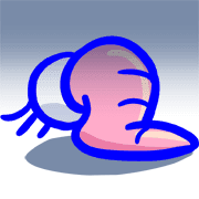 031