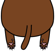 034