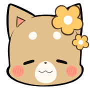 003
