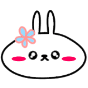 017