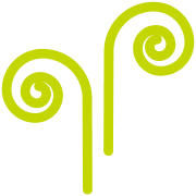 036