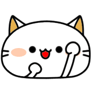 019