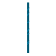 081