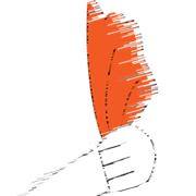 002