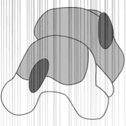 016