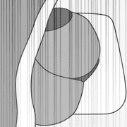 017