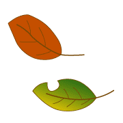 026