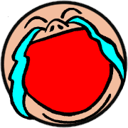 009
