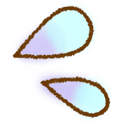 009