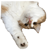 014