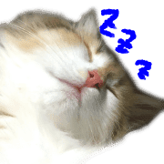 025