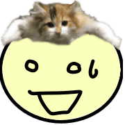029