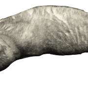 037