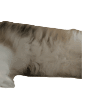 040