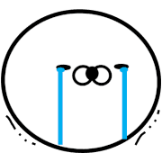 006