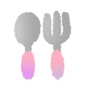 017