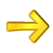262