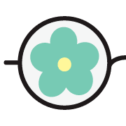 005