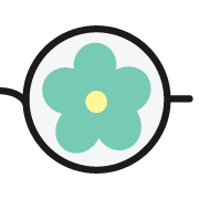006