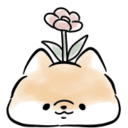 011