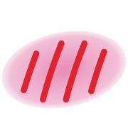 006