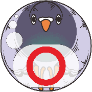 001