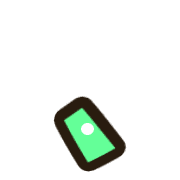 256