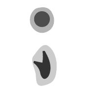 243