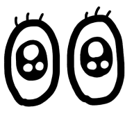 005
