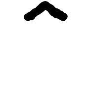 231
