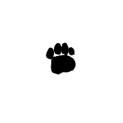 253