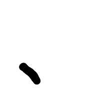 256