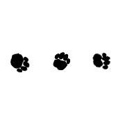 257