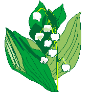 อิโมจิไลน์ Floral pictograph