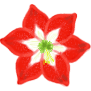 ลายที่ 10