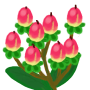 ลายที่ 32