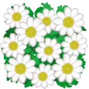 ลายที่ 33