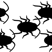 007
