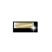 251