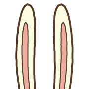 016