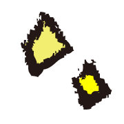 037