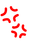 031